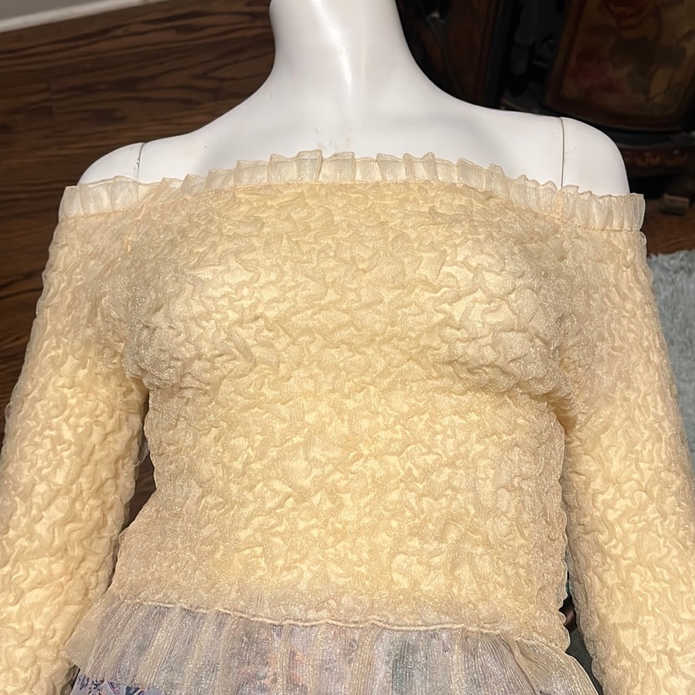 Zara long sleeve Tull shirt